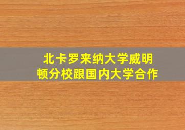 北卡罗来纳大学威明顿分校跟国内大学合作