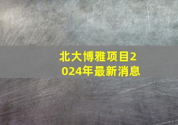 北大博雅项目2024年最新消息