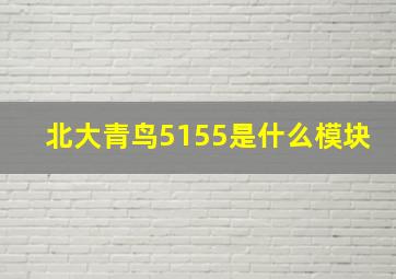 北大青鸟5155是什么模块