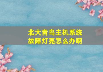 北大青鸟主机系统故障灯亮怎么办啊