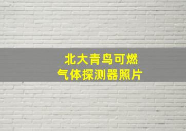 北大青鸟可燃气体探测器照片