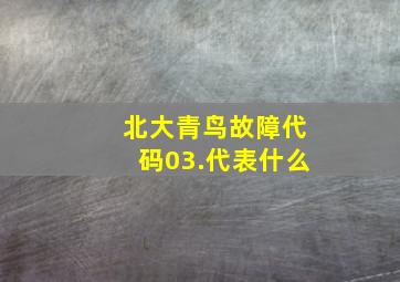 北大青鸟故障代码03.代表什么