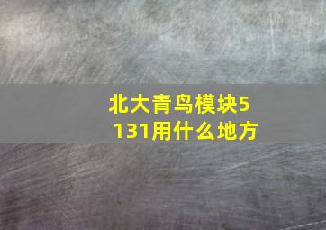 北大青鸟模块5131用什么地方