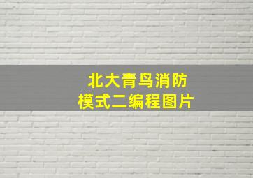 北大青鸟消防模式二编程图片