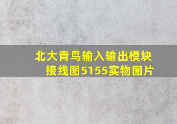 北大青鸟输入输出模块接线图5155实物图片