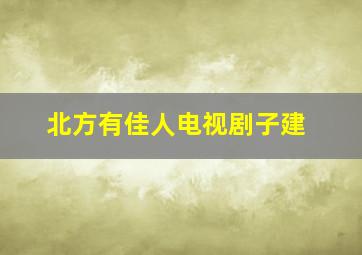 北方有佳人电视剧子建