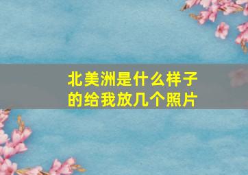 北美洲是什么样子的给我放几个照片