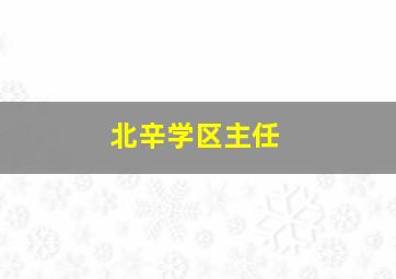 北辛学区主任