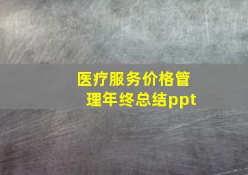 医疗服务价格管理年终总结ppt