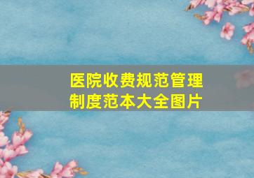 医院收费规范管理制度范本大全图片