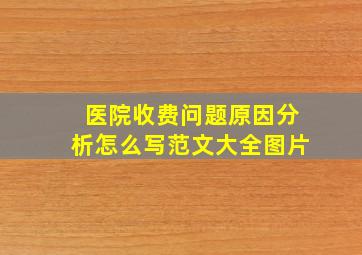 医院收费问题原因分析怎么写范文大全图片