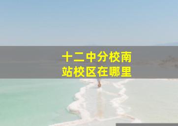 十二中分校南站校区在哪里