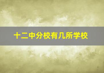 十二中分校有几所学校