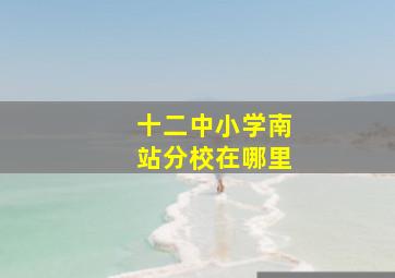 十二中小学南站分校在哪里