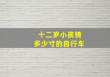 十二岁小孩骑多少寸的自行车