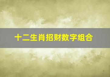 十二生肖招财数字组合