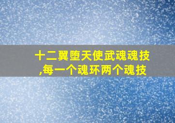 十二翼堕天使武魂魂技,每一个魂环两个魂技