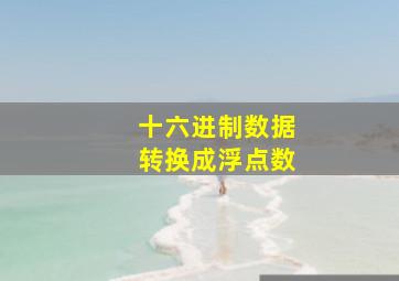 十六进制数据转换成浮点数