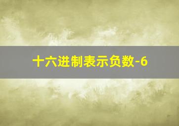 十六进制表示负数-6