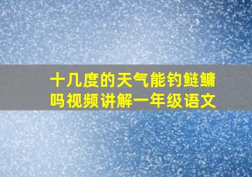 十几度的天气能钓鲢鳙吗视频讲解一年级语文