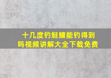 十几度钓鲢鳙能钓得到吗视频讲解大全下载免费