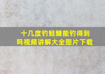 十几度钓鲢鳙能钓得到吗视频讲解大全图片下载