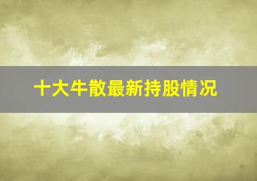 十大牛散最新持股情况