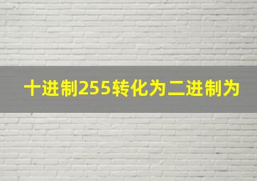 十进制255转化为二进制为