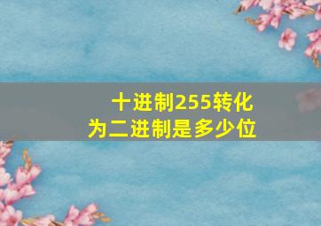 十进制255转化为二进制是多少位