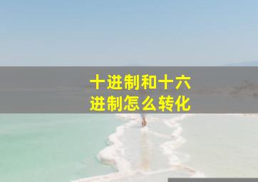 十进制和十六进制怎么转化