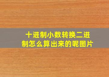 十进制小数转换二进制怎么算出来的呢图片