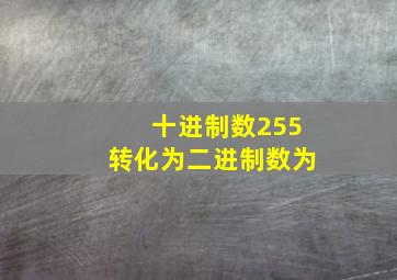 十进制数255转化为二进制数为