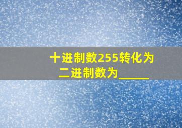 十进制数255转化为二进制数为_____