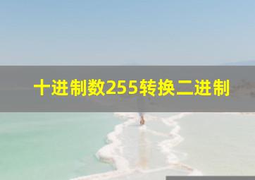 十进制数255转换二进制