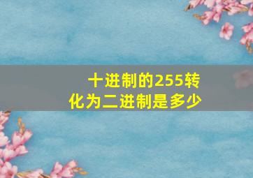 十进制的255转化为二进制是多少