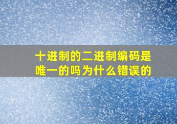 十进制的二进制编码是唯一的吗为什么错误的