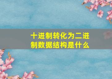 十进制转化为二进制数据结构是什么