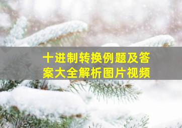 十进制转换例题及答案大全解析图片视频