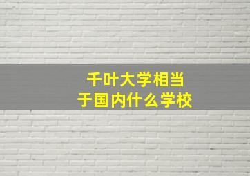 千叶大学相当于国内什么学校