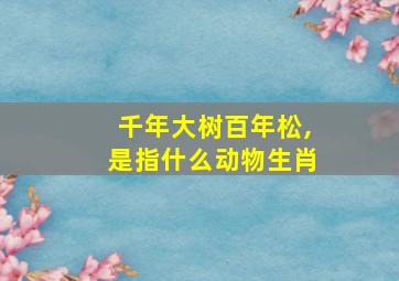 千年大树百年松,是指什么动物生肖