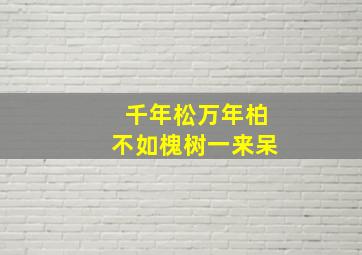 千年松万年柏不如槐树一来呆