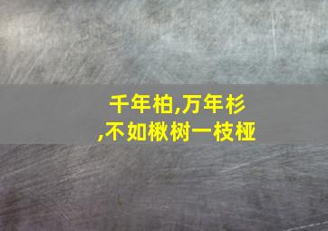 千年柏,万年杉,不如楸树一枝桠