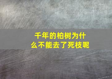 千年的柏树为什么不能去了死枝呢