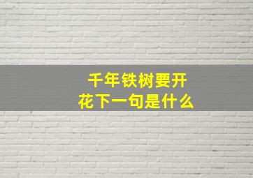 千年铁树要开花下一句是什么