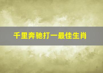 千里奔驰打一最佳生肖