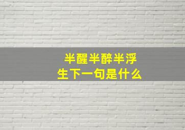 半醒半醉半浮生下一句是什么