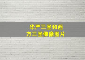 华严三圣和西方三圣佛像图片