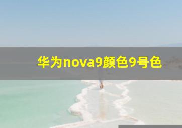 华为nova9颜色9号色