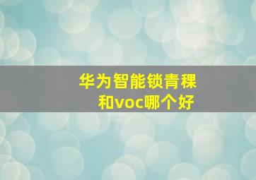 华为智能锁青稞和voc哪个好