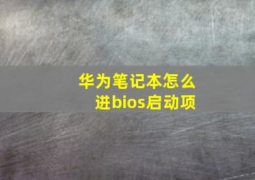 华为笔记本怎么进bios启动项